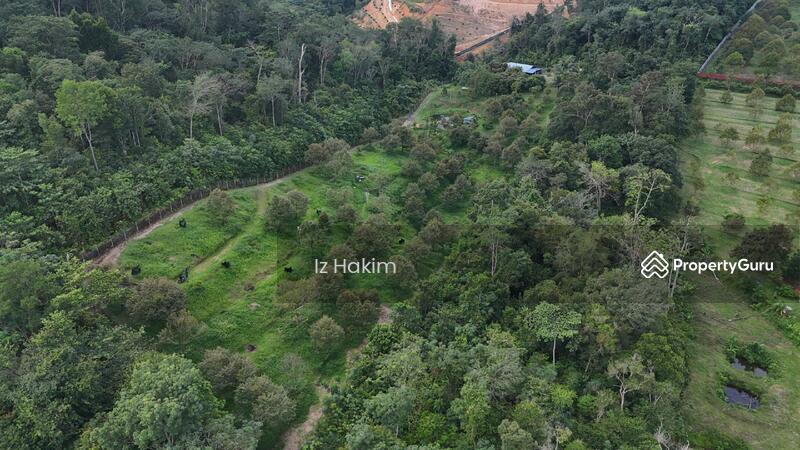 Untuk Dijual - Freehold Tanah Dusun Durian Batang Kali