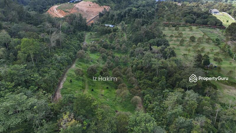 Untuk Dijual - Freehold Tanah Dusun Durian Batang Kali