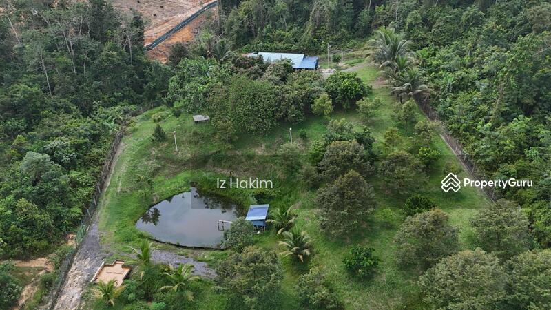 Untuk Dijual - Freehold Tanah Dusun Durian Batang Kali