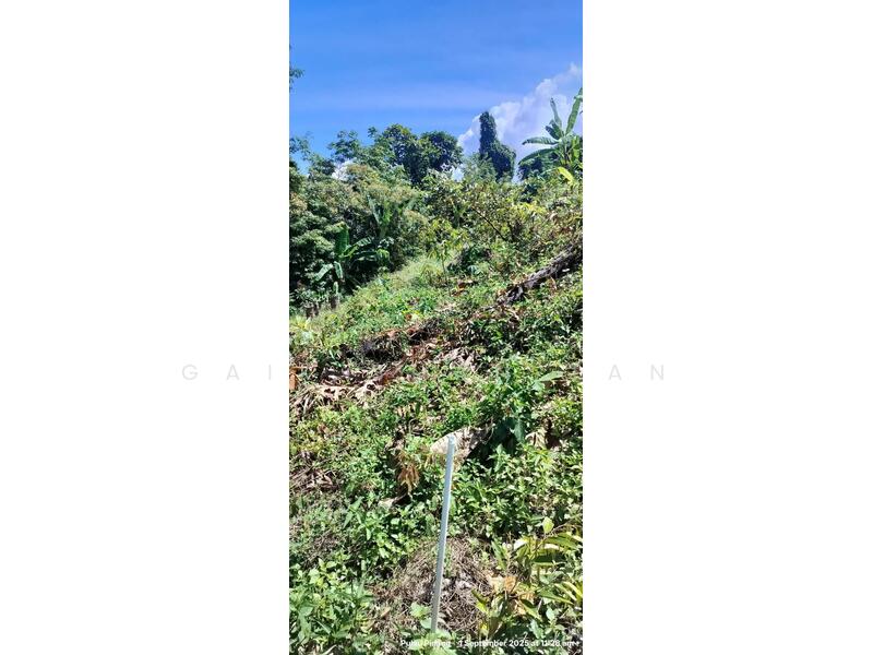 For Sale - Agricultural Land at Pulau Betong