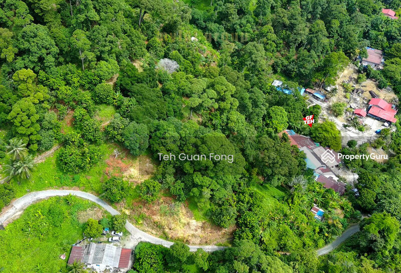 For Sale - 3.10 acres First Grade | Durian Farm | Paya Terubung | Air Itam | Penang 40psf