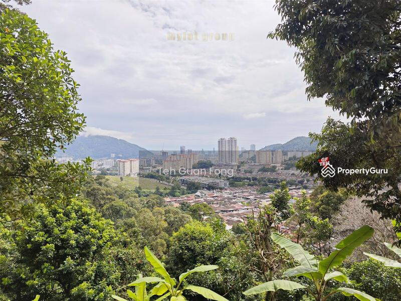 For Sale - 3.10 acres First Grade | Durian Farm | Paya Terubung | Air Itam | Penang 40psf