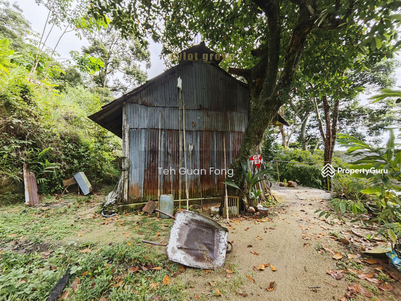 For Sale - 3.10 acres First Grade | Durian Farm | Paya Terubung | Air Itam | Penang 40psf