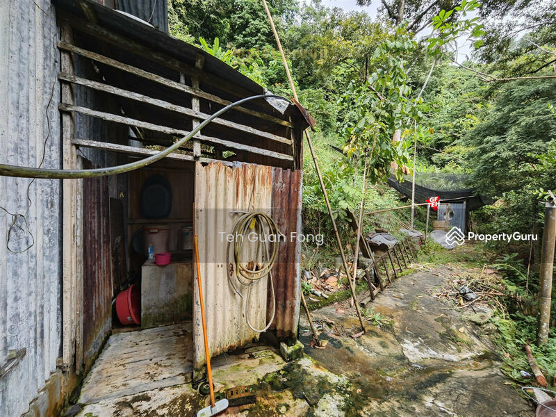 For Sale - 3.10 acres First Grade | Durian Farm | Paya Terubung | Air Itam | Penang 40psf