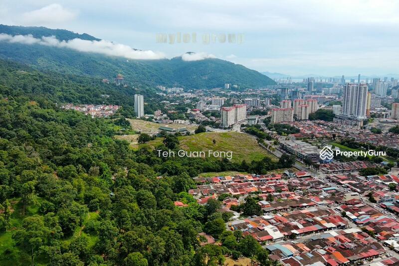 For Sale - 3.10 acres First Grade | Durian Farm | Paya Terubung | Air Itam | Penang 40psf