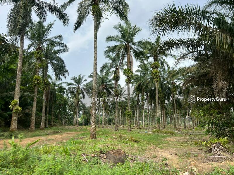Untuk Dijual - Kulai Kulai kulais