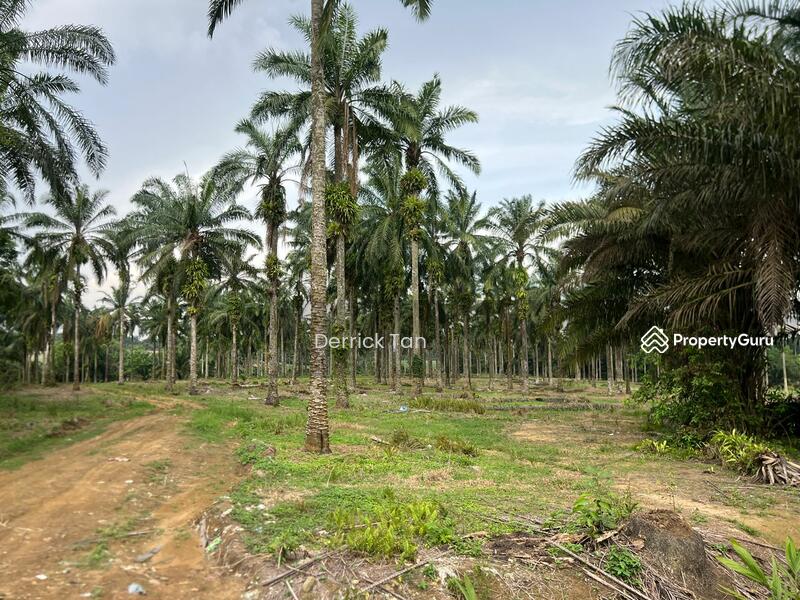 Untuk Dijual - Kulai Kulai kulais