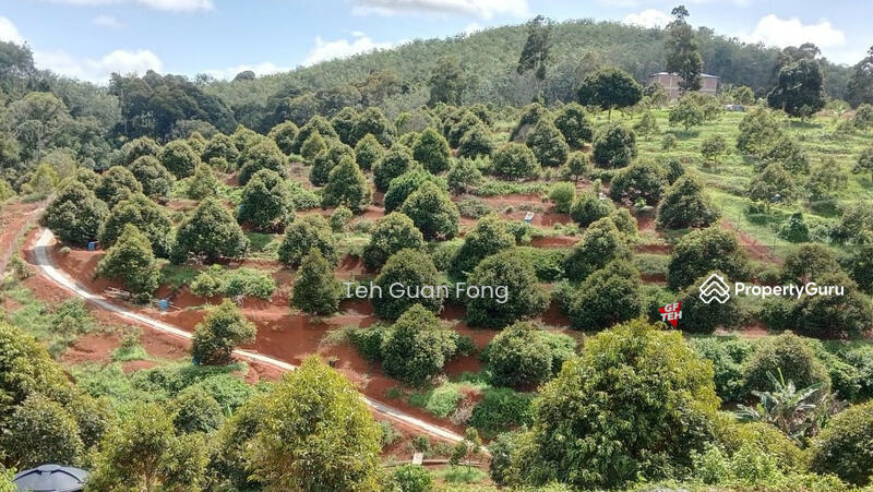 Tanah Kediaman untuk Dijual di Bandar Kuala Kangsar (Kuala Kangsar) - Teh Guan Fong - PropertyGuru.com.my