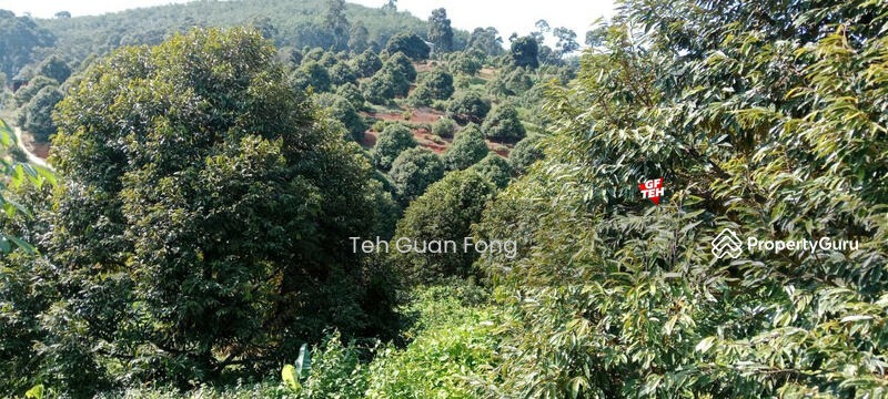 Tanah Kediaman untuk Dijual di Bandar Kuala Kangsar (Kuala Kangsar) - Teh Guan Fong - PropertyGuru.com.my