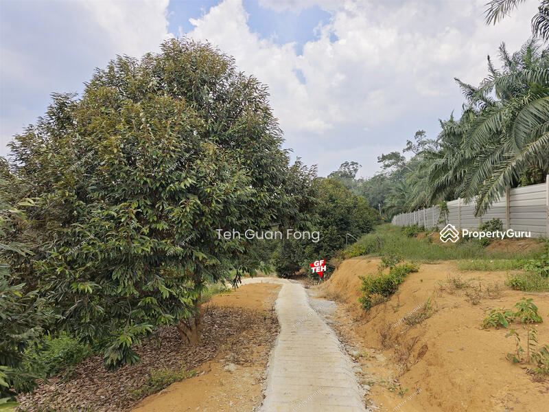 Tanah Kediaman untuk Dijual di Bandar Kuala Kangsar (Kuala Kangsar) - Teh Guan Fong - PropertyGuru.com.my