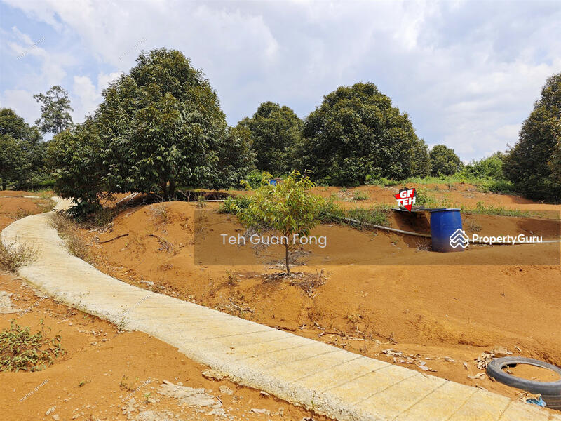 Tanah Kediaman untuk Dijual di Bandar Kuala Kangsar (Kuala Kangsar) - Teh Guan Fong - PropertyGuru.com.my