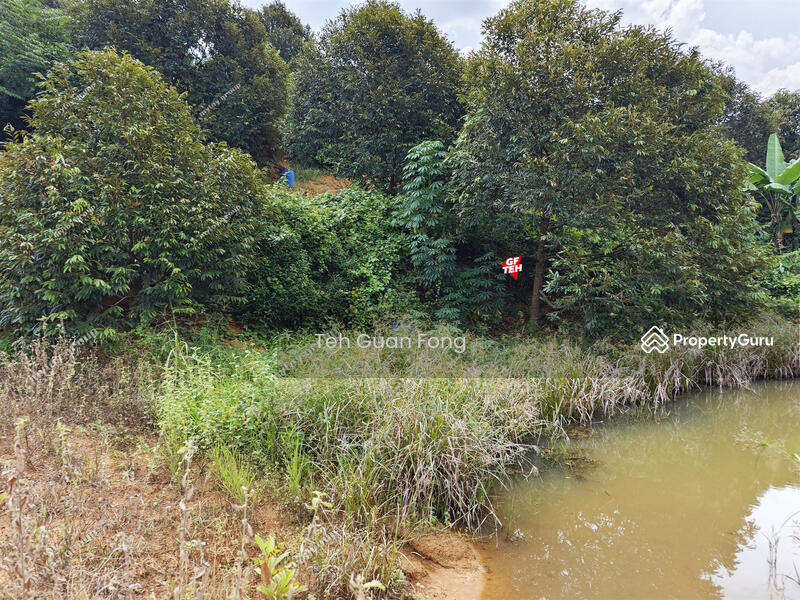 Tanah Kediaman untuk Dijual di Bandar Kuala Kangsar (Kuala Kangsar) - Teh Guan Fong - PropertyGuru.com.my