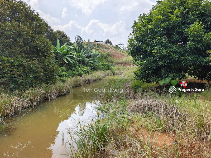 Tanah Kediaman untuk Dijual di Bandar Kuala Kangsar (Kuala Kangsar) - Teh Guan Fong - PropertyGuru.com.my