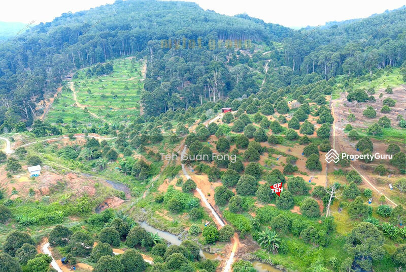 Tanah Kediaman untuk Dijual di Bandar Kuala Kangsar (Kuala Kangsar) - Teh Guan Fong - PropertyGuru.com.my