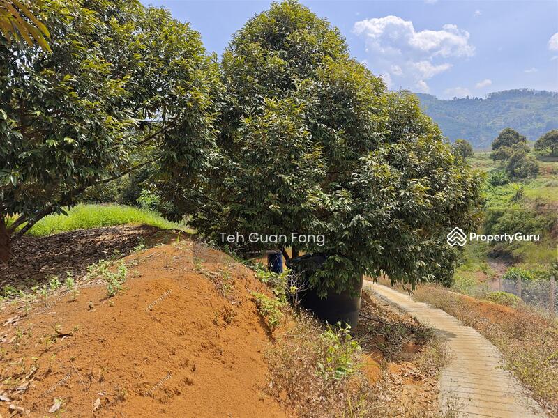 Tanah Kediaman untuk Dijual di Bandar Kuala Kangsar (Kuala Kangsar) - Teh Guan Fong - PropertyGuru.com.my
