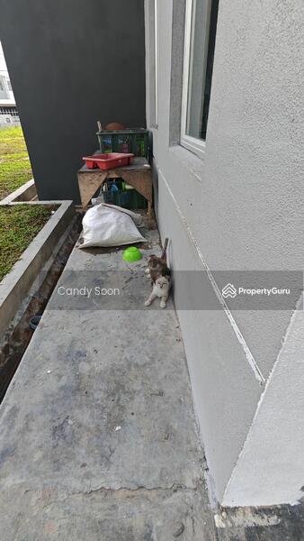 Untuk Disewa - Semi-Detached House at Bandar Tasik Puteri