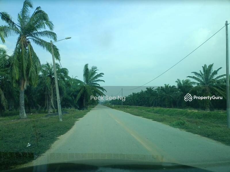 Untuk Dijual - Agricultural Land at Kampung Sungai Sembilang