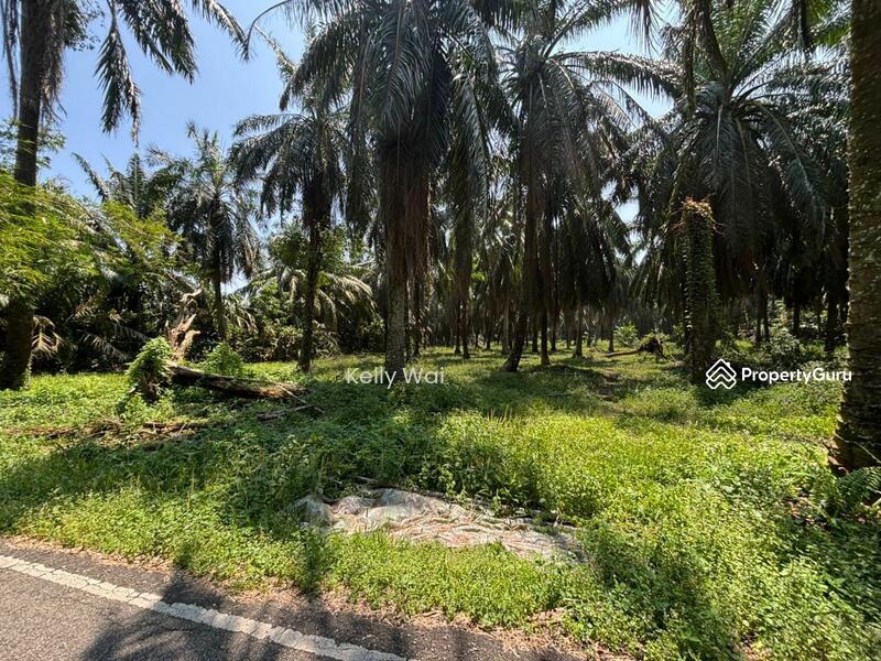 For Sale - Kampong Pok Kechil @ Gelang Patah 5.375 Acres Agricultural Land For Sale