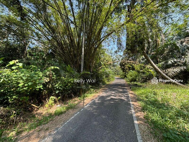 For Sale - Kampong Pok Kechil @ Gelang Patah 5.375 Acres Agricultural Land For Sale
