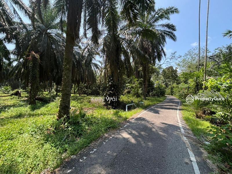 For Sale - Kampong Pok Kechil @ Gelang Patah 5.375 Acres Agricultural Land For Sale