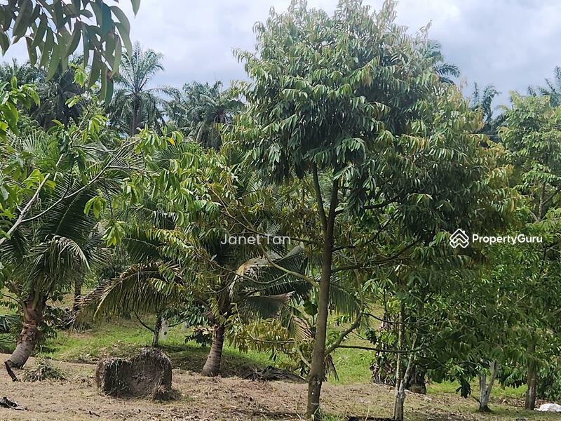 Untuk Dijual - Simpang Renggam Zoning Industrial Agriculture Land