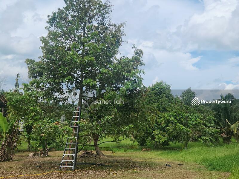 Untuk Dijual - Simpang Renggam Zoning Industrial Agriculture Land