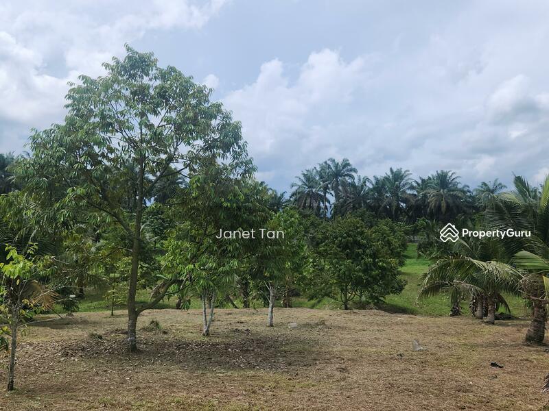 Untuk Dijual - Simpang Renggam Zoning Industrial Agriculture Land