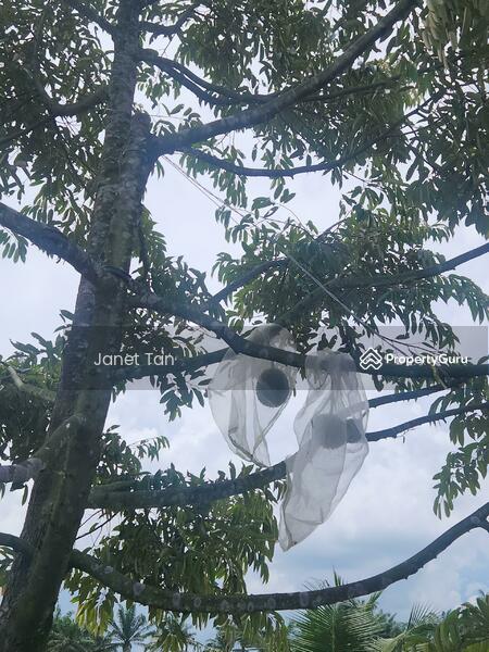 Untuk Dijual - Simpang Renggam Zoning Industrial Agriculture Land