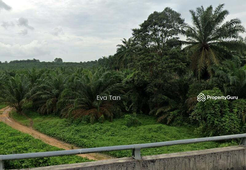 Untuk Dijual - Kulaijaya Commercial Land