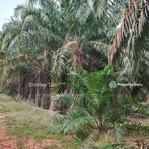 For Sale - Simpang Renggam, Kluang