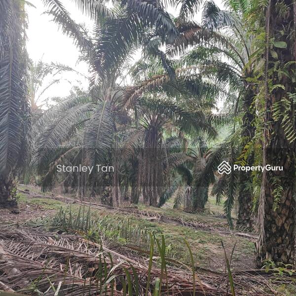 For Sale - Simpang Renggam, Kluang