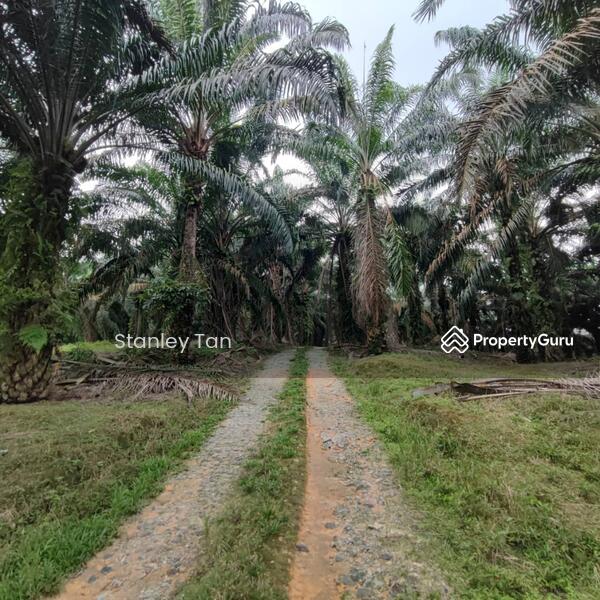 For Sale - Simpang Renggam, Kluang