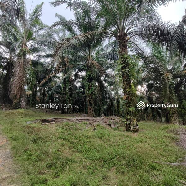 For Sale - Simpang Renggam, Kluang