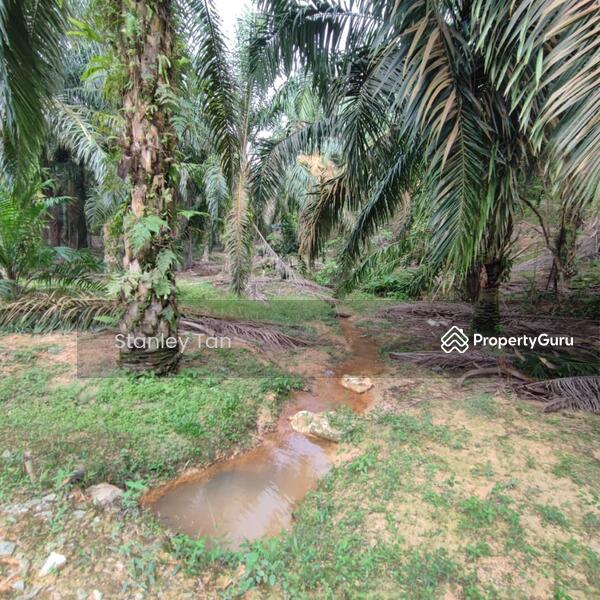 For Sale - Simpang Renggam, Kluang