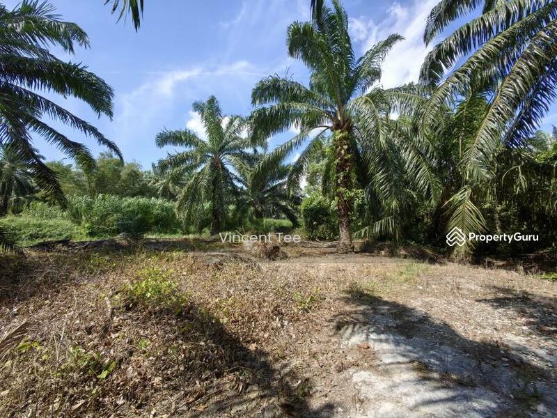 Untuk Dijual - 3 Acres Freehold Facing Mainroad Jeram Kapar
