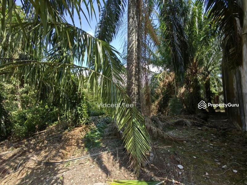 Untuk Dijual - 3 Acres Freehold Facing Mainroad Jeram Kapar