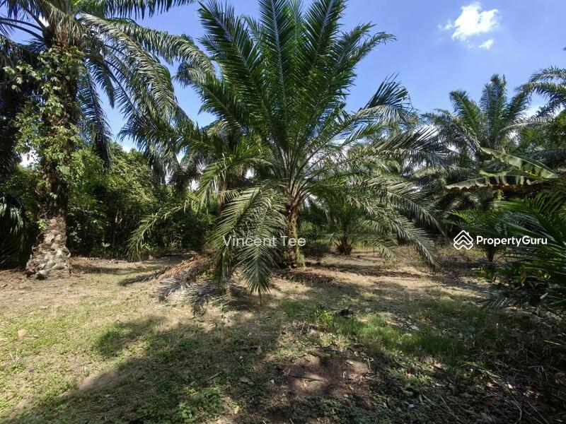 Untuk Dijual - 3 Acres Freehold Facing Mainroad Jeram Kapar