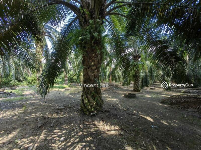 Untuk Dijual - 3 Acres Freehold Facing Mainroad Jeram Kapar