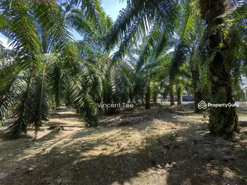 Untuk Dijual - 3 Acres Freehold Facing Mainroad Jeram Kapar