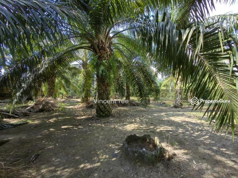 Untuk Dijual - 3 Acres Freehold Facing Mainroad Jeram Kapar