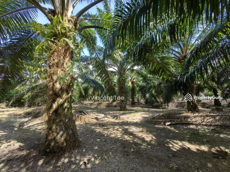 Untuk Dijual - 3 Acres Freehold Facing Mainroad Jeram Kapar