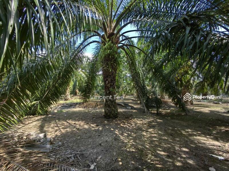 Untuk Dijual - 3 Acres Freehold Facing Mainroad Jeram Kapar
