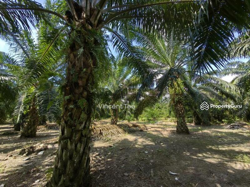 Untuk Dijual - 3 Acres Freehold Facing Mainroad Jeram Kapar