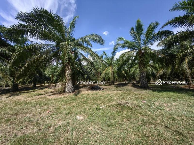 Untuk Dijual - 3 Acres Freehold Facing Mainroad Jeram Kapar