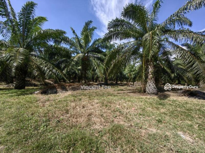 Untuk Dijual - 3 Acres Freehold Facing Mainroad Jeram Kapar