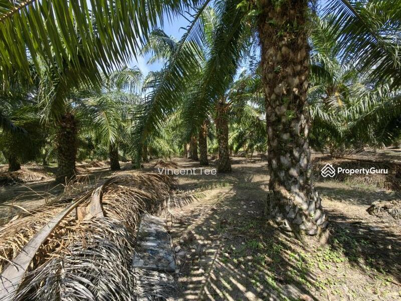 Untuk Dijual - 3 Acres Freehold Facing Mainroad Jeram Kapar