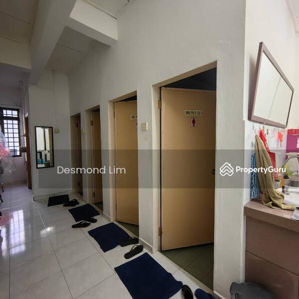 For Sale - Rosmerah Rosmerahs