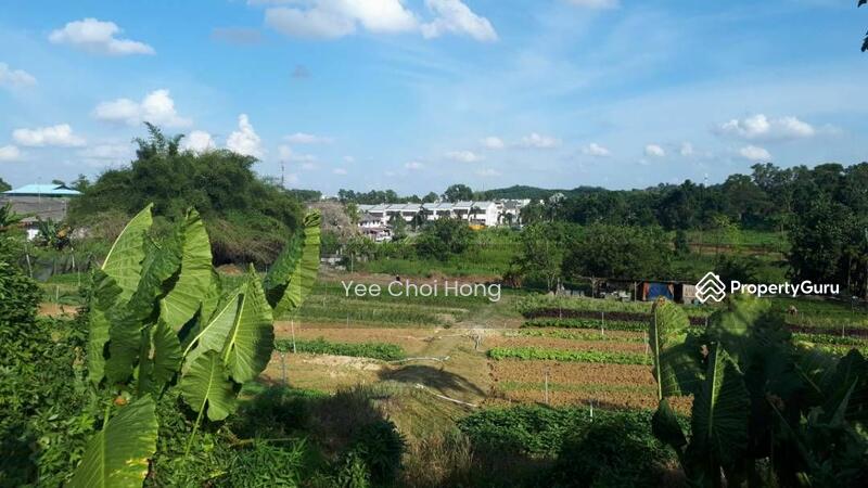 Agricultural Land for Sale in Taman Sri Saleng (Kulai) - Yee Choi Hong - PropertyGuru.com.my