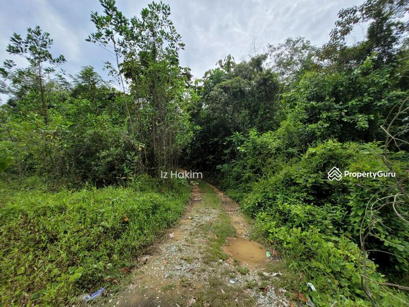 Untuk Dijual - Tanah tepi jalan utama selangor ke utara