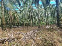 For Sale - Pahang Mentakab Jalan Karak